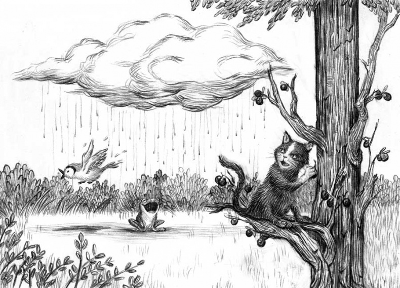 Фамильяры. Книга 1. Трое против ведьмы Фамильяры. Книга 1. Трое против ведьмы