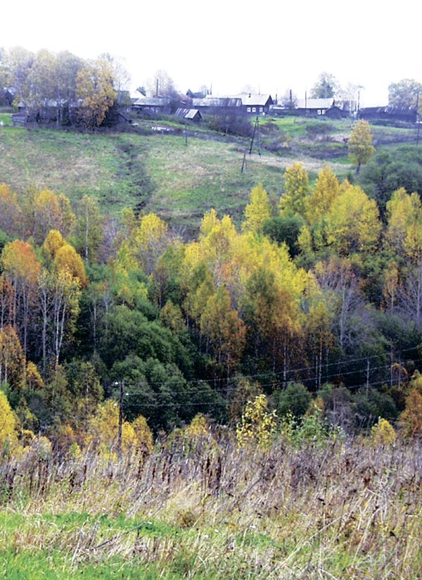 Тихая Виледь Тихая Виледь
