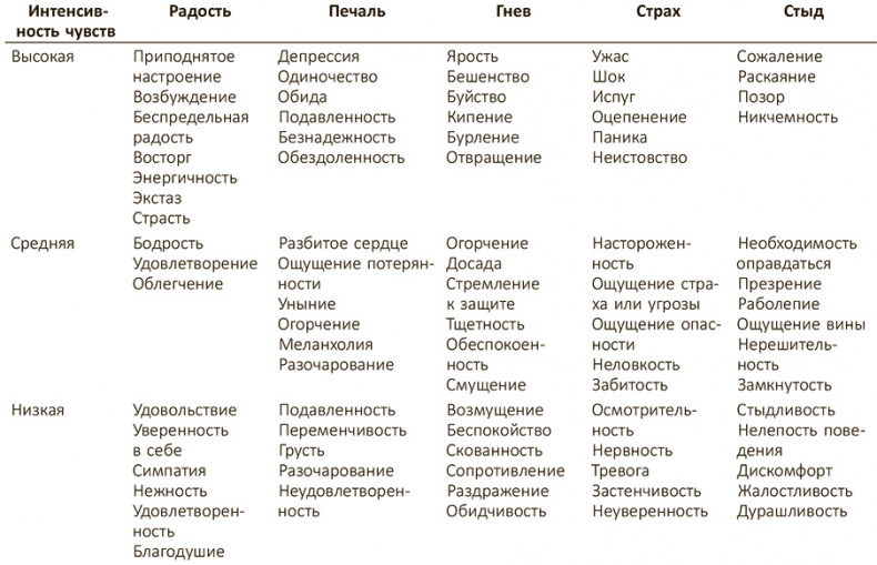 Эмоциональный интеллект 2.0 Эмоциональный интеллект 2.0