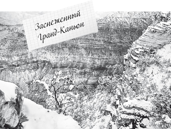 Будни Гринго в Америке Будни Гринго в Америке