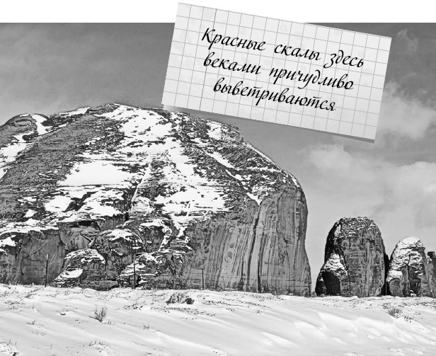 Будни Гринго в Америке Будни Гринго в Америке