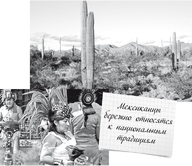 Будни Гринго в Америке Будни Гринго в Америке