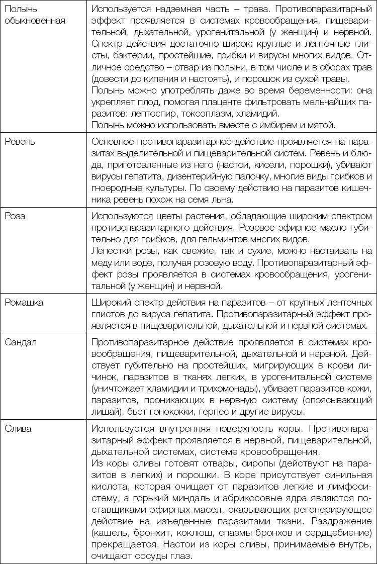 25 любимых специй 25 любимых специй