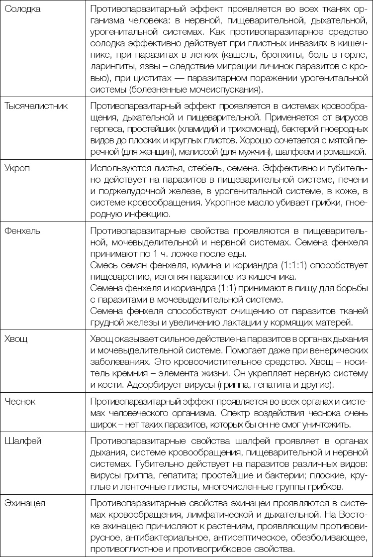 25 любимых специй 25 любимых специй