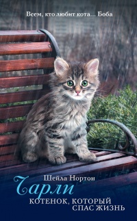 Чарли. Котенок, который спас жизнь - Шейла Нортон - Читать книги онлайн | Слушать аудиокниги онлайн | Электронная библиотека books-lib.com