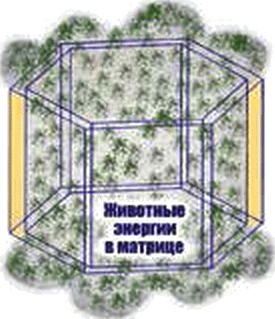 Энергетическое исцеление матрицами Энергетическое исцеление матрицами