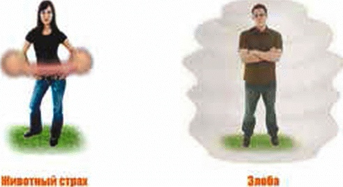 Энергетическое исцеление матрицами Энергетическое исцеление матрицами