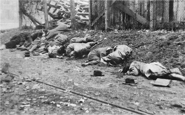 Венгерский кризис 1956 года в исторической ретроспективе Венгерский кризис 1956 года в исторической ретроспективе