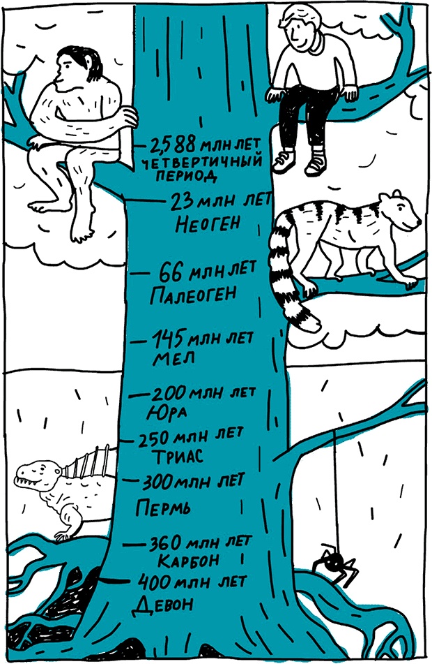 От динозавра до компота. Ученые отвечают на 100 (и еще 8) вопросов обо всем От динозавра до компота. Ученые отвечают на 100 (и еще 8) вопросов обо всем