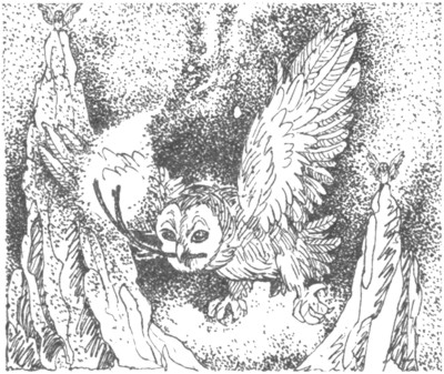 Ночные стражи. Наследник Ночные стражи. Наследник