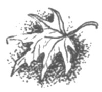 Ночные стражи. Наследник Ночные стражи. Наследник