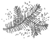 Ночные стражи. Наследник Ночные стражи. Наследник