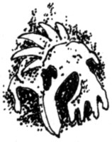 Ночные стражи. Наследник Ночные стражи. Наследник