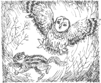 Ночные стражи. Наследник Ночные стражи. Наследник