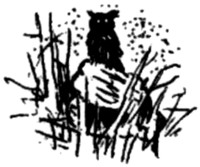 Ночные стражи. Наследник Ночные стражи. Наследник