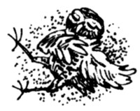 Ночные стражи. Наследник Ночные стражи. Наследник