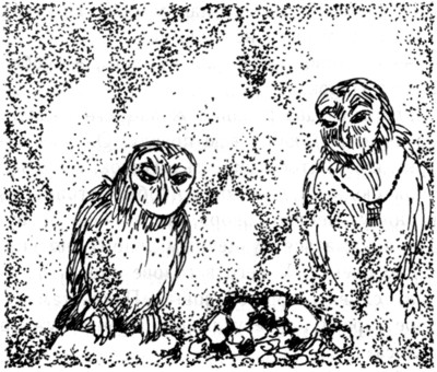 Ночные стражи. Наследник Ночные стражи. Наследник