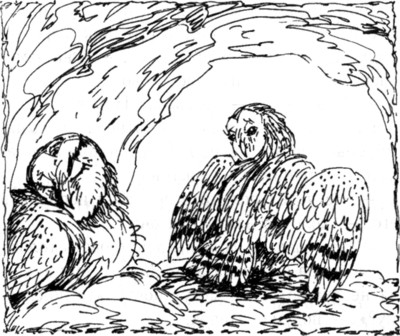 Ночные стражи. Наследник Ночные стражи. Наследник