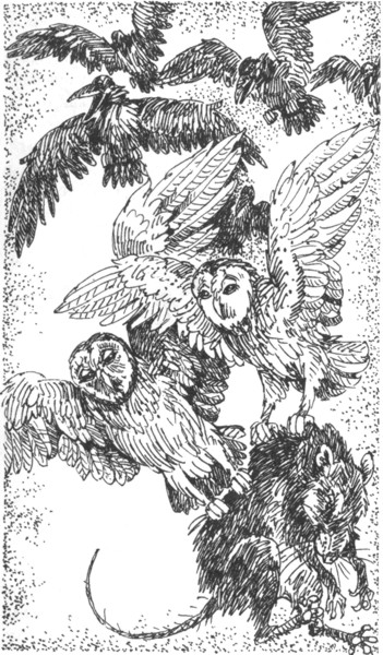 Ночные стражи. Наследник Ночные стражи. Наследник