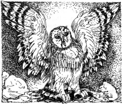 Ночные стражи. Наследник Ночные стражи. Наследник