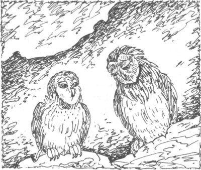 Ночные стражи. Наследник Ночные стражи. Наследник