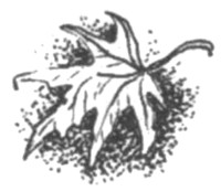 Ночные стражи. Наследник Ночные стражи. Наследник