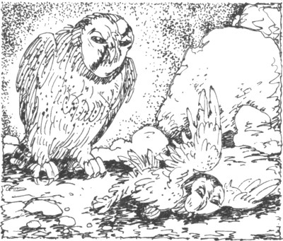 Ночные стражи. Наследник Ночные стражи. Наследник