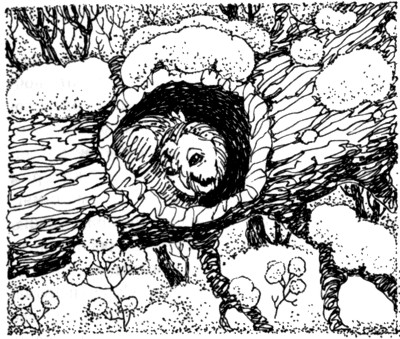 Ночные стражи. Наследник Ночные стражи. Наследник