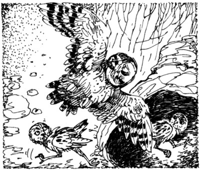 Ночные стражи. Наследник Ночные стражи. Наследник