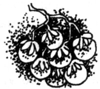 Ночные стражи. Наследник Ночные стражи. Наследник