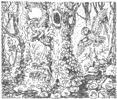 Ночные стражи. Наследник Ночные стражи. Наследник