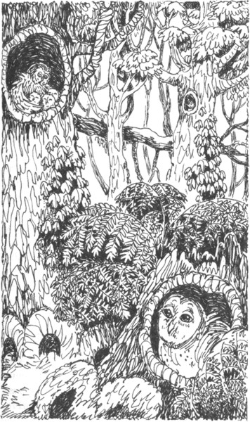 Ночные стражи. Наследник Ночные стражи. Наследник