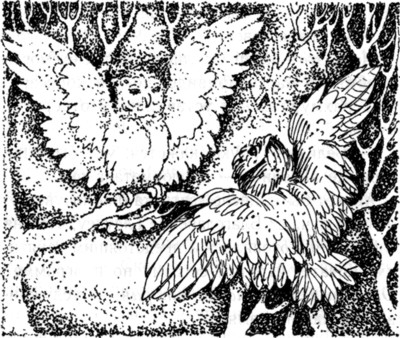 Ночные стражи. Наследник Ночные стражи. Наследник