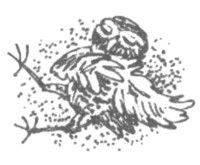 Ночные стражи. Изгнанник Ночные стражи. Изгнанник