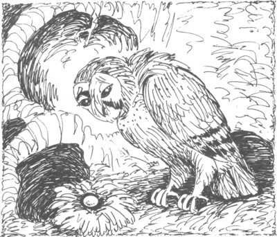 Ночные стражи. Изгнанник Ночные стражи. Изгнанник