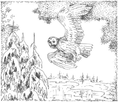 Ночные стражи. Изгнанник Ночные стражи. Изгнанник