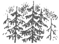 Ночные стражи. Изгнанник Ночные стражи. Изгнанник