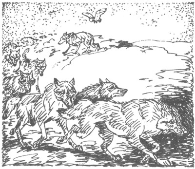 Ночные стражи. Изгнанник Ночные стражи. Изгнанник