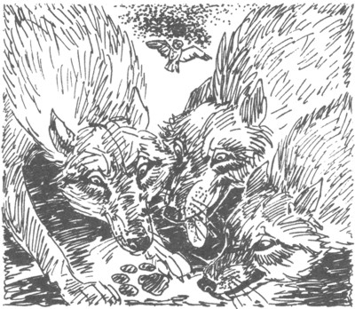 Ночные стражи. Изгнанник Ночные стражи. Изгнанник