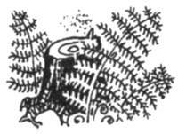 Ночные стражи. Первый угленос Ночные стражи. Первый угленос