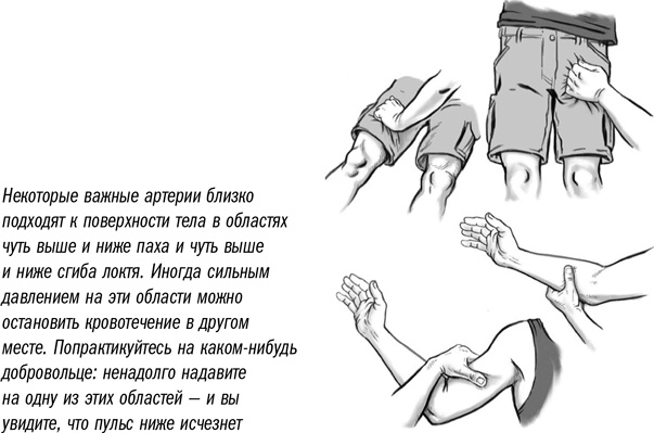 Первая помощь своими руками. Если скорая не спешит Первая помощь своими руками. Если скорая не спешит