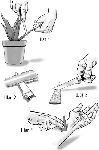 Первая помощь своими руками. Если скорая не спешит Первая помощь своими руками. Если скорая не спешит