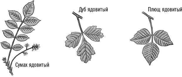 Первая помощь своими руками. Если скорая не спешит Первая помощь своими руками. Если скорая не спешит