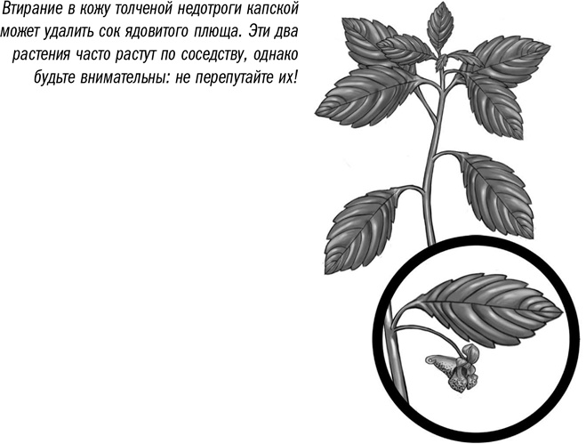 Первая помощь своими руками. Если скорая не спешит Первая помощь своими руками. Если скорая не спешит
