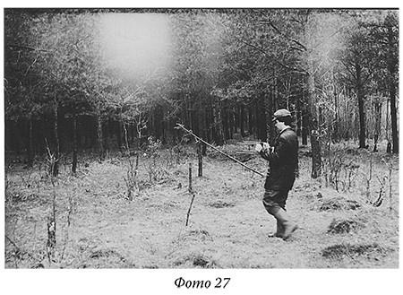 Загадки реальности Загадки реальности