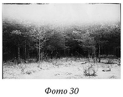 Загадки реальности Загадки реальности