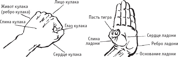 Ба-Дуань-Цзинь (Восемь кусков парчи) Ба-Дуань-Цзинь (Восемь кусков парчи)