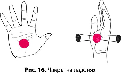 Тайное знание не для всех. Секреты целителя Тайное знание не для всех. Секреты целителя