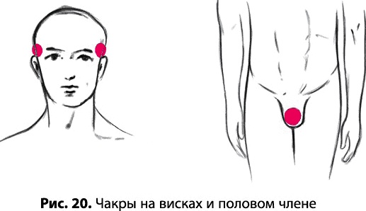 Тайное знание не для всех. Секреты целителя Тайное знание не для всех. Секреты целителя
