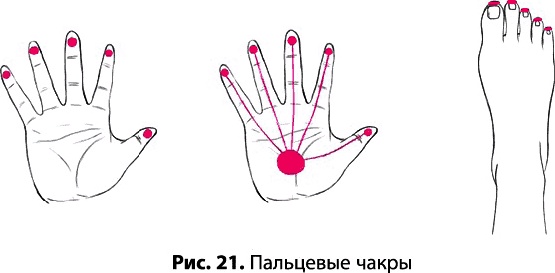 Тайное знание не для всех. Секреты целителя Тайное знание не для всех. Секреты целителя